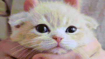这才是猛男该看的片!A站awsl最多的视频!#第十三期